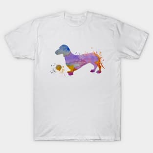 Dachshund art T-Shirt